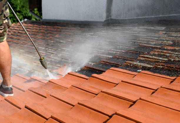 Best Garage Pressure Washing  in Lathrop, CA