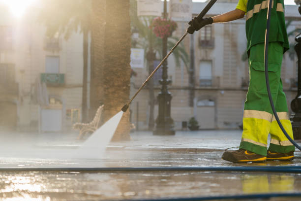 Best Roof Pressure Washing  in Lathrop, CA